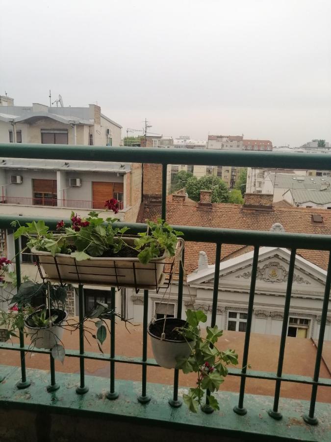 Apartman Centar Beograd Kültér fotó